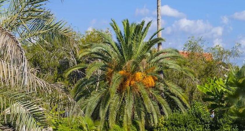 Starlight Resort Hotel