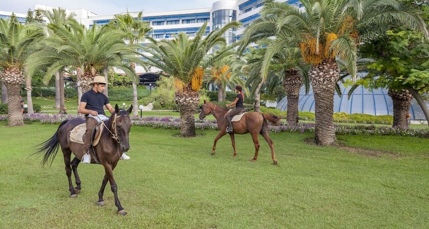 Starlight Resort Hotel