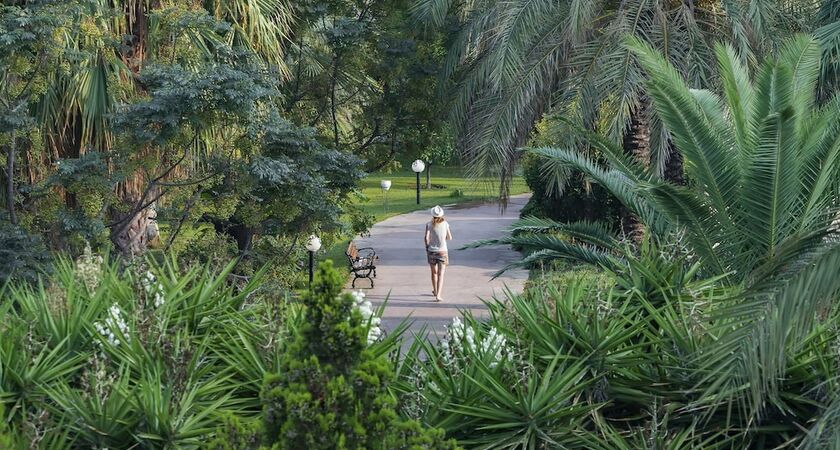 Starlight Resort Hotel