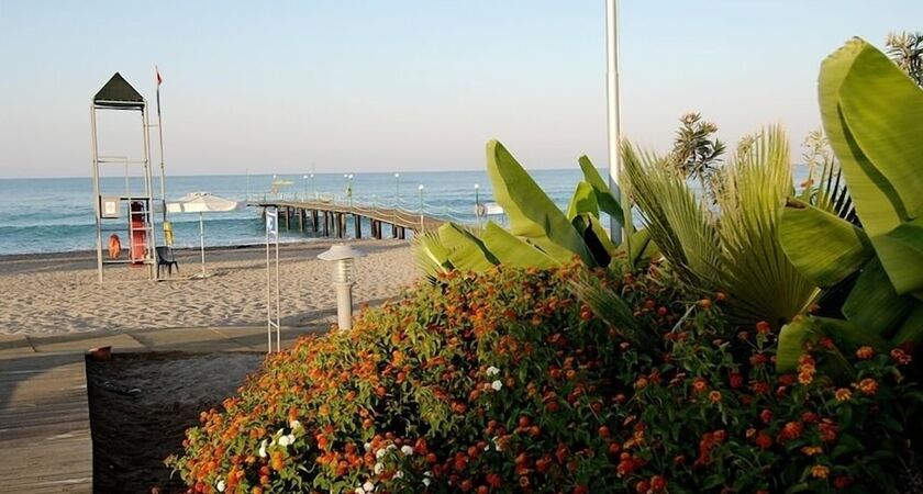 Amelia Beach Resort Hotel & Spa
