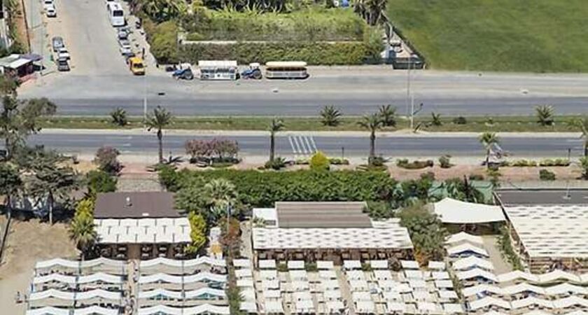 Aydinbey Gold Dreams