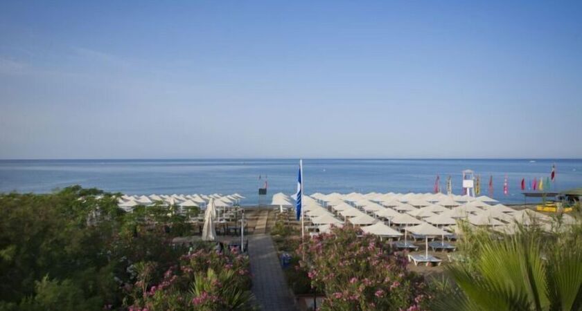 Aydinbey Gold Dreams