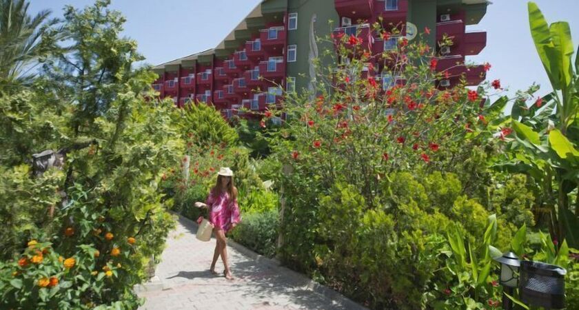 Aydinbey Gold Dreams