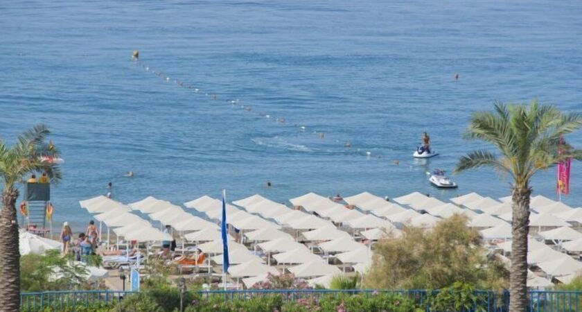 Aydinbey Gold Dreams