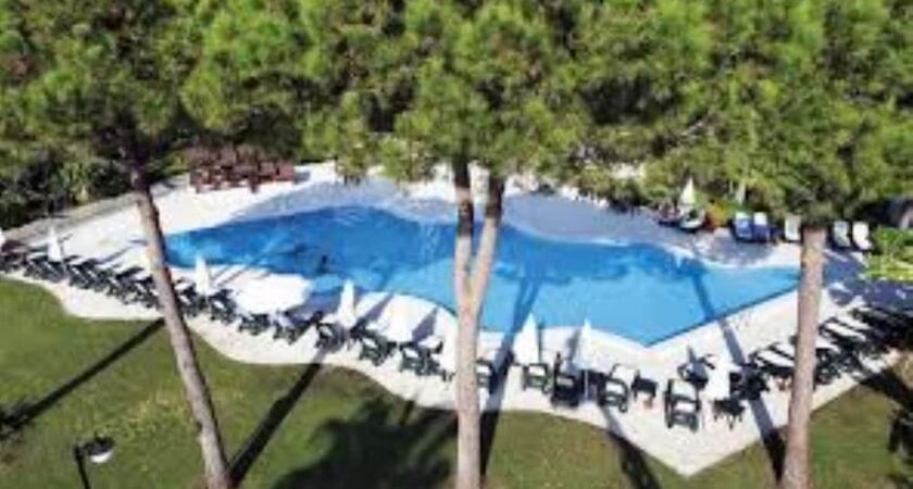 Alva Donna World Palace