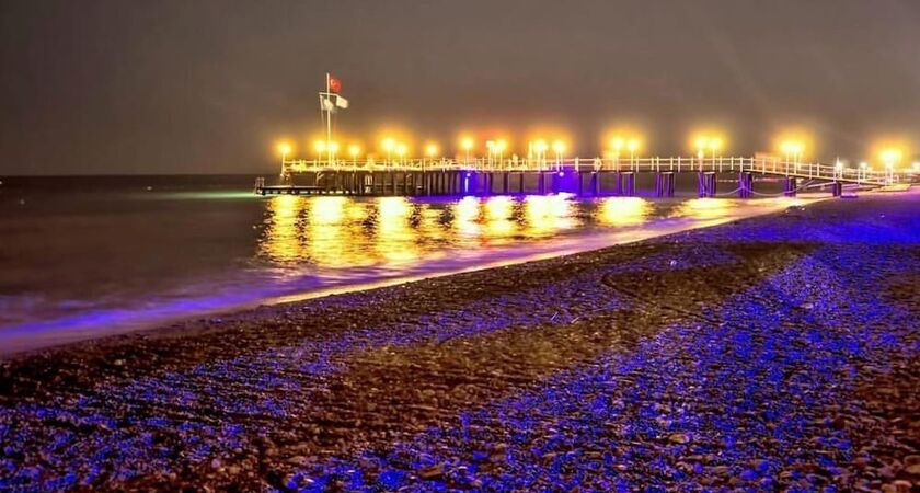 Alva Donna World Palace