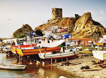 ŞİLE AĞVA TURU