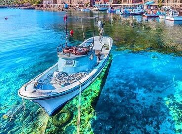 KURBAN BAYRAMINA ÖZEL KAZDAĞLARI  CUNDA TURU