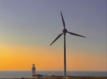 KURBAN BAYRAMINA ÖZEL KAZDAĞLARI  CUNDA TURU
