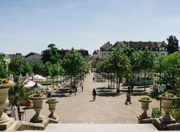 ALSACE`IN MASAL KÖYLERİ