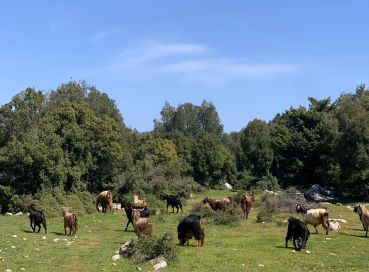 BATI LİKYA TREKKİNG TURU – 2. KISIM (KALKAN-KAŞ)