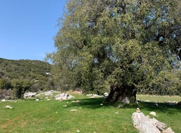 BATI LİKYA TREKKİNG TURU – 2. KISIM (KALKAN-KAŞ)