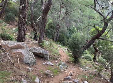 DOĞU LİKYA TREKKİNG TURU – 1. KISIM (DEMRE- ÇIRALI)