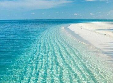 SALDA GÖLÜ LAVANTA BAHÇELERİ TURU