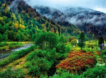 YILBAŞI ÖZEL BATUM TURU