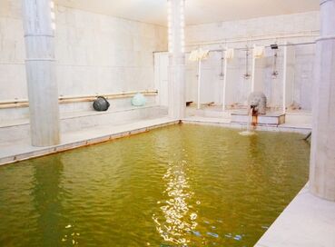 SAKARI ILICA KAPLICALARI TURU