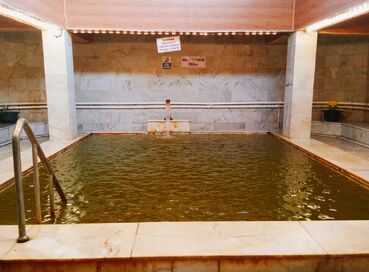 SAKARI ILICA KAPLICALARI TURU