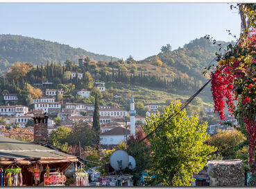 SEFERİHİSAR MANDALİNA ŞENLİĞİ