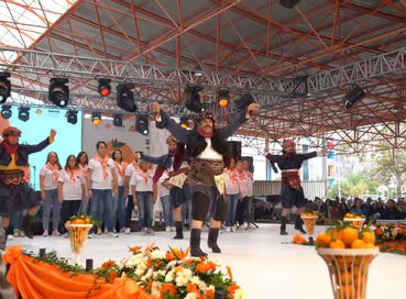 SEFERİHİSAR MANDALİNA ŞENLİĞİ