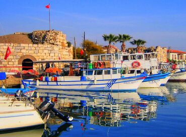 SEFERİHİSAR MANDALİNA ŞENLİĞİ