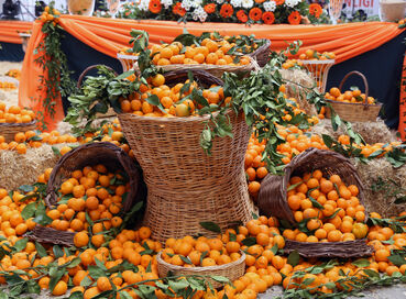 SEFERİHİSAR MANDALİNA ŞENLİĞİ