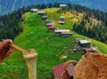 KARADENİZ FIRTINASI