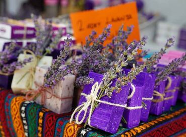 SALDA GÖLÜ LAVANTA BAHÇELERİ TURU