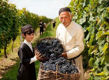 GÜRCİSTAN BAĞ ROTASI TURU