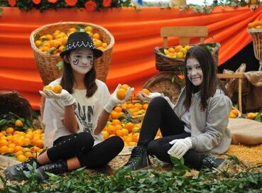 SEFERİHİSAR MANDALİNA FESTİVALİ TURU