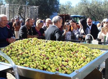 BURHANİYE ZEYTİN VE ZEYTİN YAĞI FESTİVALİ TURU